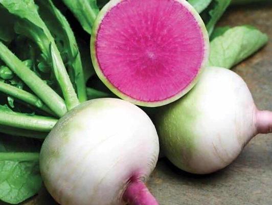 Редис Старберст F1 фото 2