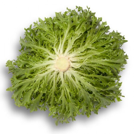 Салат Экспертайз F1 фото 2