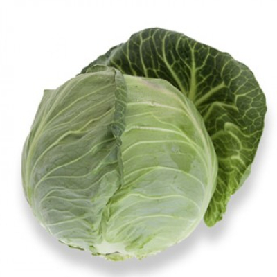 Капуста белокочанная Тафма F1 фото