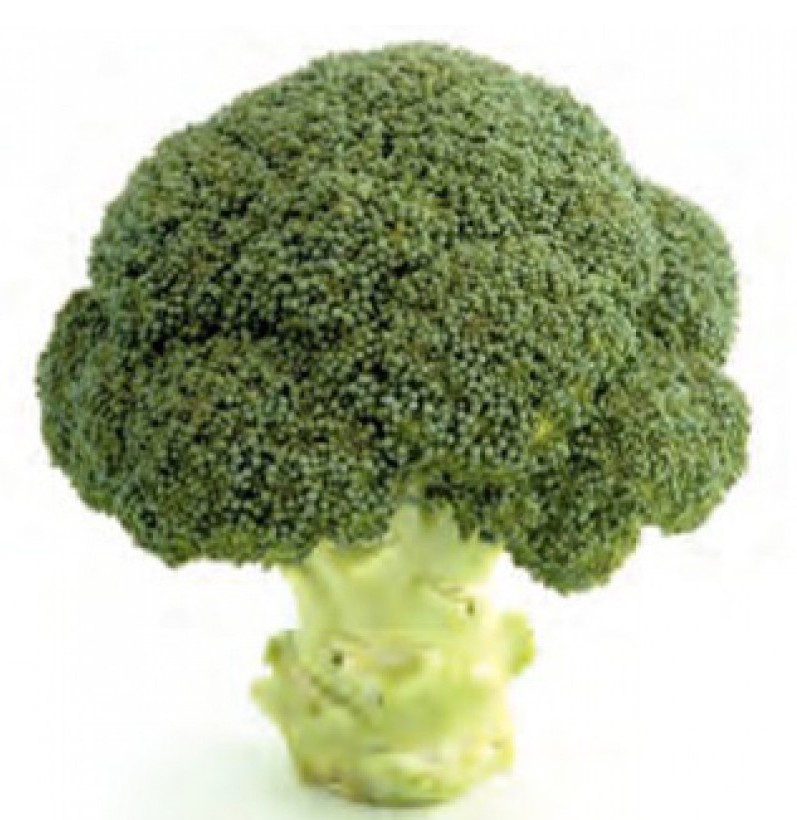 Семена брокколи Грин Мейджик F1 фото 2