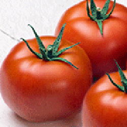 Семена томатов Эдамсо F1 фото 2