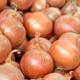 Лук Моушен F1 фото 1