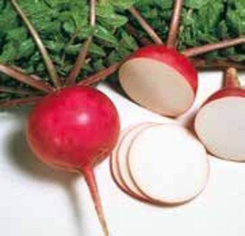 Семена дайкона фото 2