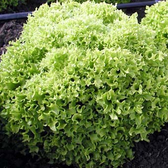 Салат Касабелла фото 2