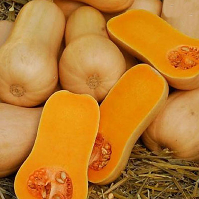 Тыква Хавана F1 фото 2