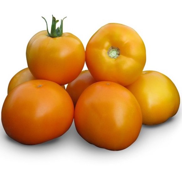 Семена томатов Айсан F1  KS 18  фото 2