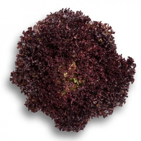 Салат Сенсибель фото 2