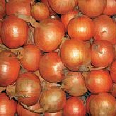 Лук Аренал F1 фото 1