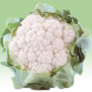 Капуста цветная Кашмир F1 фото 2