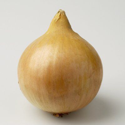 Лук Марко F1 фото 1