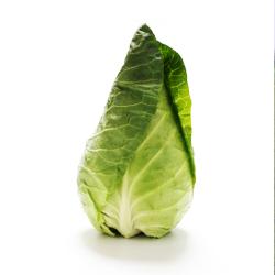 Капуста белокочанная Карафлекс F1 фото