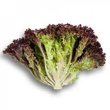 Салат Сенсибель фото 2