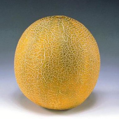 Семена дыни Айкидо F1 фото 2