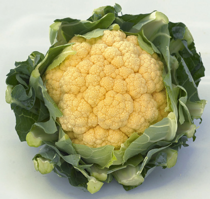 Капуста цветная Флейм Стар F1 фото 2