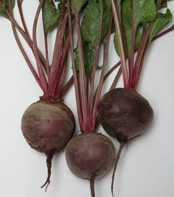 Свекла Экшен F1 фото 2