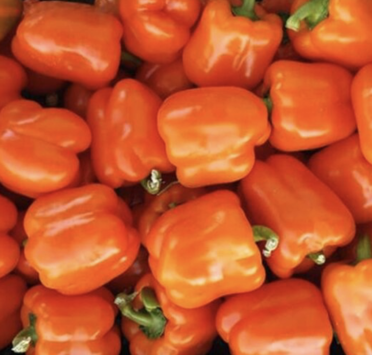 Клементин F1