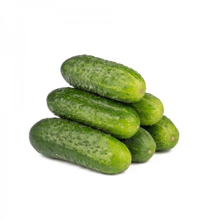 Огурец Рубато F1 фото 2