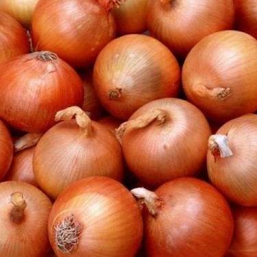 Лук Медуза F1 фото 1