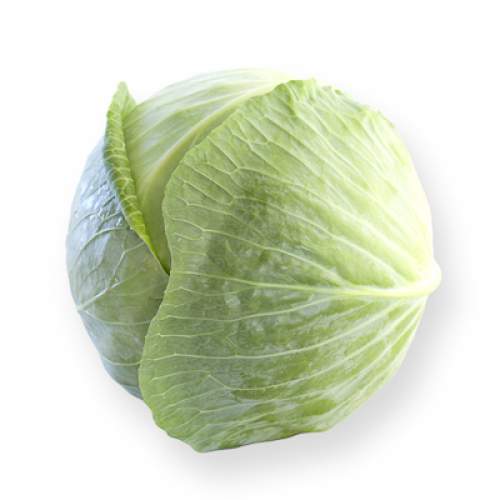 Капуста белокочанная Ориема F1 фото