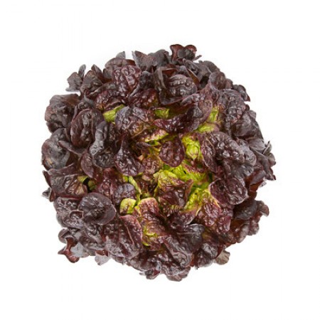 Салат Сатудай F1 фото 2