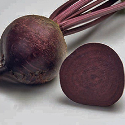 Свекла Акело F1 фото 2