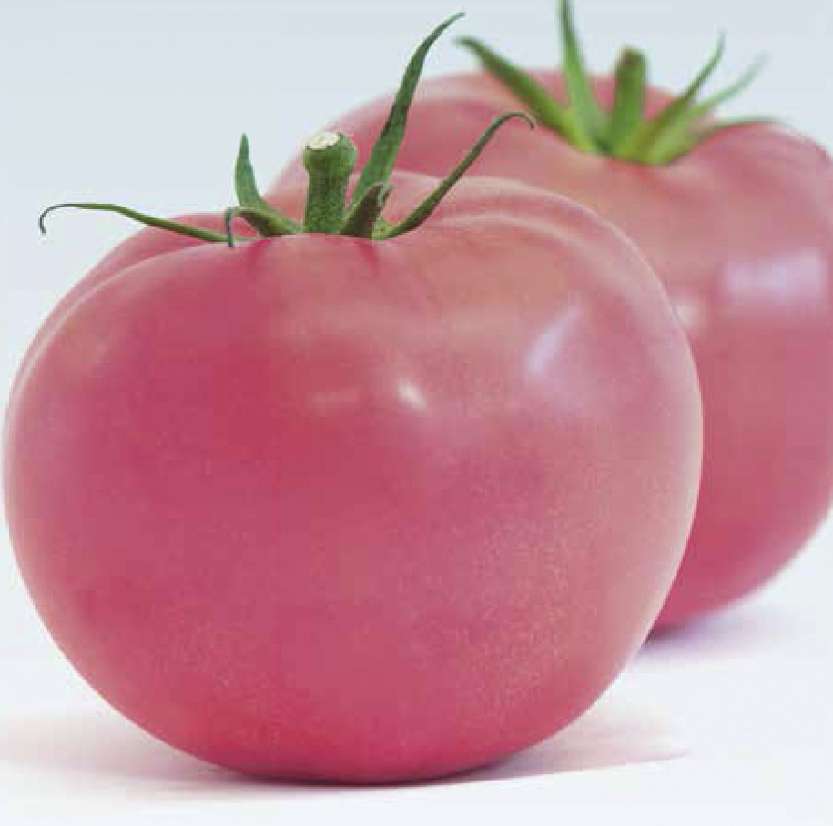 Семена томатов Мей Шуай F1 фото 1