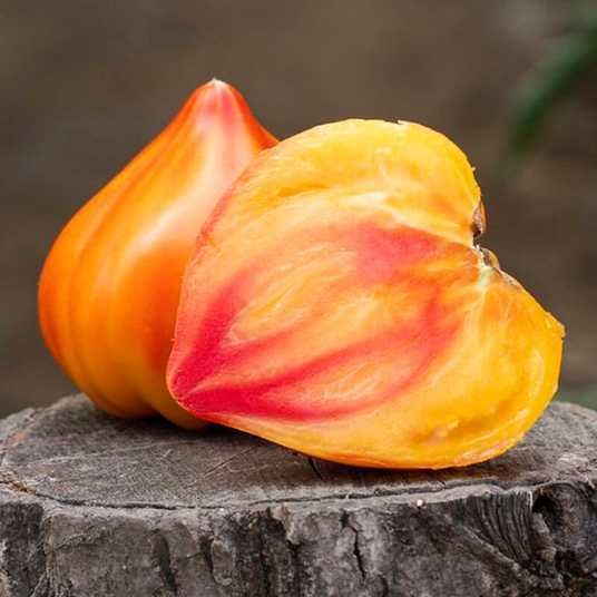 Семена томатов Мадрид F1 фото 2