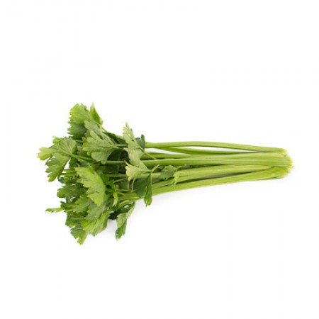 Семена сельдерея Келвин F1 изображение 2