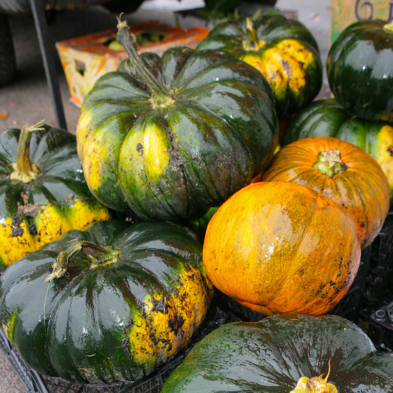 Тыква Динамит F1 фото 2