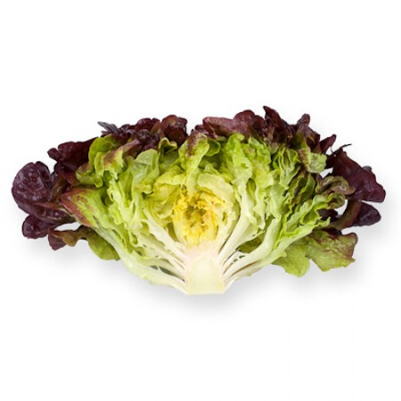 Салат Роксай F1 фото 2