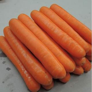 Морковь ПОЛИДОР  F1 фото 2