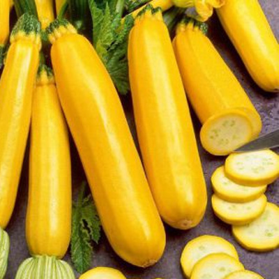 Кабачок Солеил F1 фото 1 