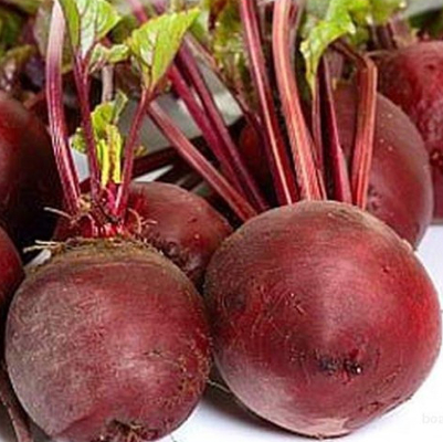 Свекла Бебибит F1 фото 2