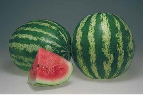 Семена арбуза Романза F1  фото 2