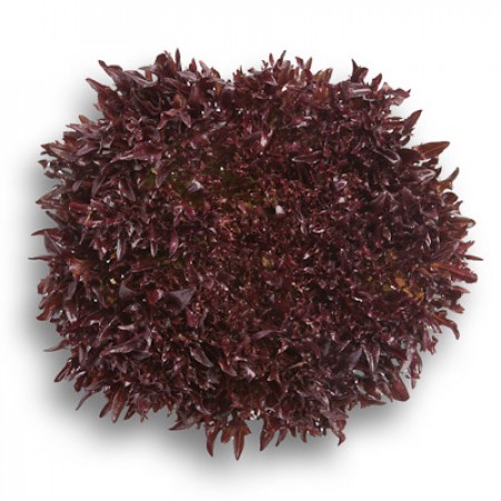 Салат Триплекс фото 2