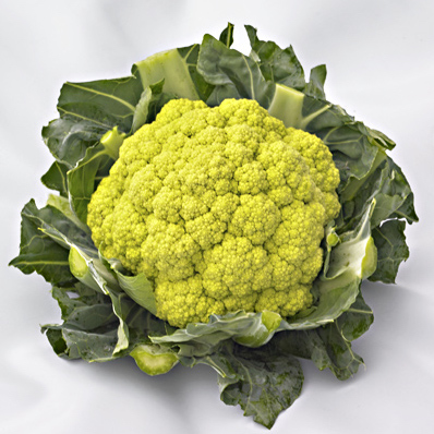 Капуста цветная Грин Шторм F1 фото 2