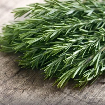 Розмарин Рэми