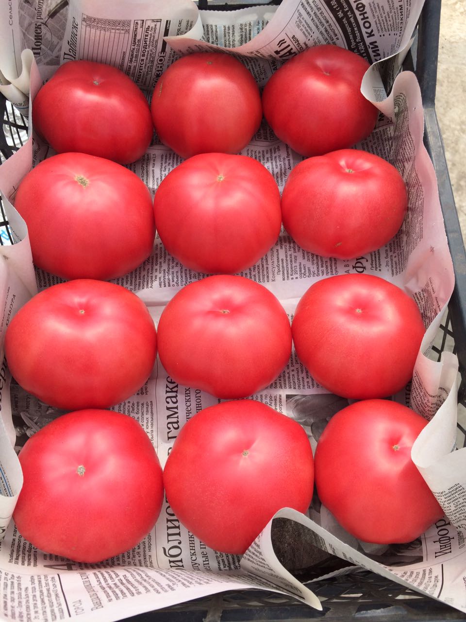 Семена томатов Мей Шуай F1 фото 2