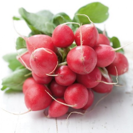 Редис Ирена F1 фото 2