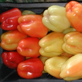 Сладкий перец Фламинго F1 фото 2