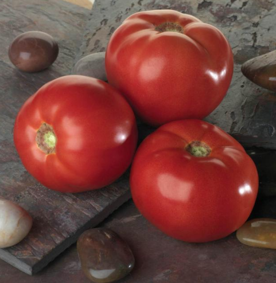 Семена томатов Белла Роса F1 фото 2