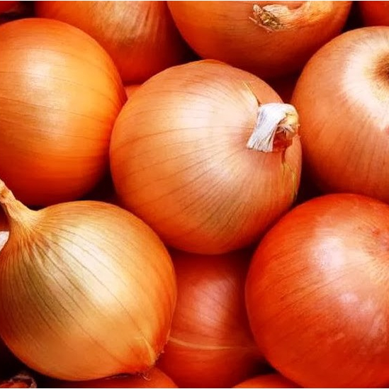 Лук Франциско F1 фото 1