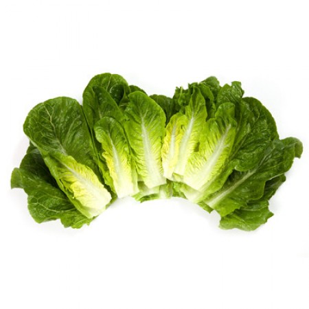 Салат Рафаэль F1 фото 2