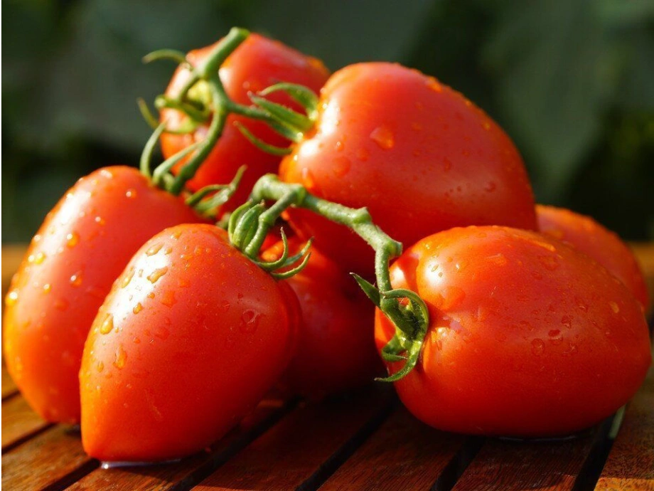 Семена томатов Дино F1 фото 2