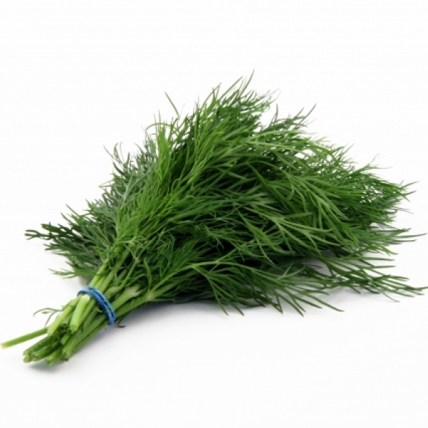 Семена укропа Голдкроне фото 2
