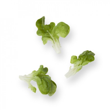 Салат Кук фото 2