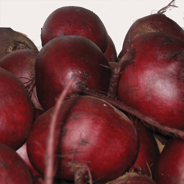 Свекла Шот Топ фото 2