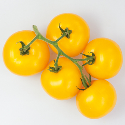 Семена томатов Гуальдино F1 фото 2