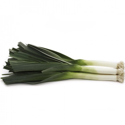 Лук порей Матейко F1 фото 1