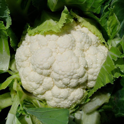 Капуста цветная Сеул F1 фото 2